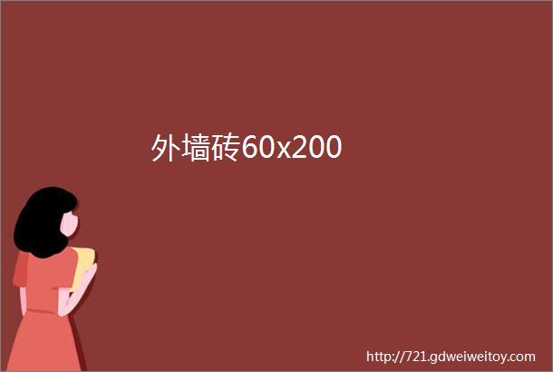 外墙砖60x200